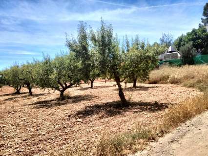 Parcela rústica en venta en Cehegín