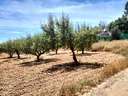 Parcela rústica en venta en Cehegín