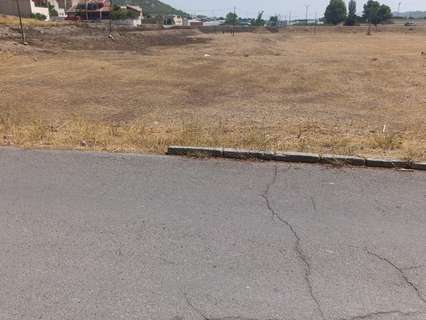 Parcela rústica en venta en Cehegín