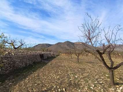 Parcela rústica en venta en Hondón de las Nieves