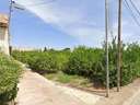 Parcela rústica en venta en Murcia zona Aljucer