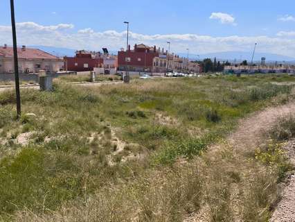 Parcela rústica en venta en Alguazas rebajada