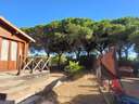 Chalet en venta en Barbate