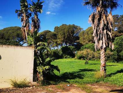 Parcela rústica en venta en Chiclana de la Frontera