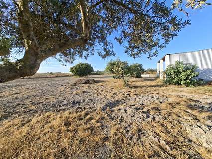 Casa rústica en venta en Chiclana de la Frontera