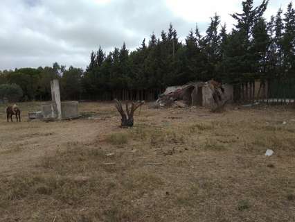 Parcela rústica en venta en Puerto Real