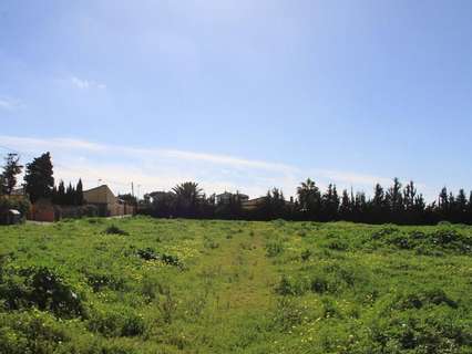 Parcela rústica en venta en Chiclana de la Frontera