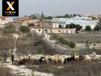 Parcela urbana en venta en Bullas