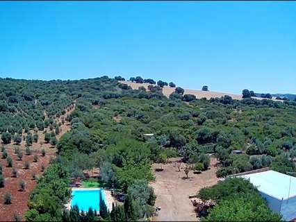 Casa en venta en Arcos de la Frontera