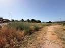 Parcela rústica en venta en Santa Oliva