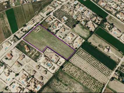 Parcela rústica en venta en Catral