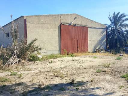 Parcela rústica en venta en Crevillent zona El Realengo