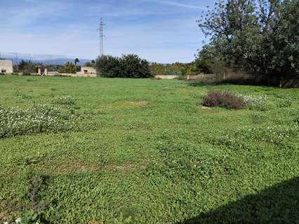 Parcela rústica en venta en Llíria