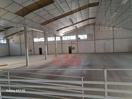 Nave industrial en venta en Aspe rebajada