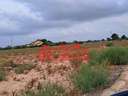 Parcela rústica en venta en Elche/Elx zona Matola