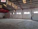 Nave industrial en alquiler en Albatera rebajada