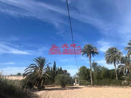 Parcela rústica en venta en Elche/Elx zona Matola