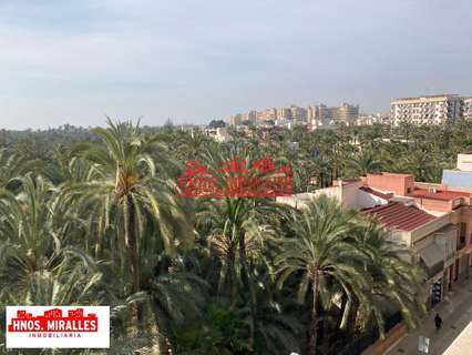 Piso en alquiler en Elche/Elx