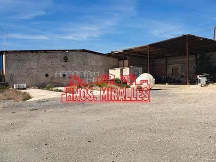 Parcela rústica en alquiler en Elche/Elx zona Matola