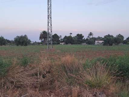 Parcela rústica en venta en Elche/Elx zona Matola