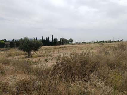 Parcela rústica en venta en Murcia zona Sangonera la Seca