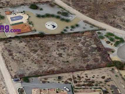 Parcela en venta en Albox zona Las Labores