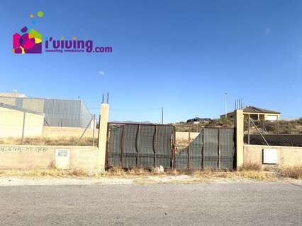 Parcela en alquiler en Albox zona Venta el Cholas