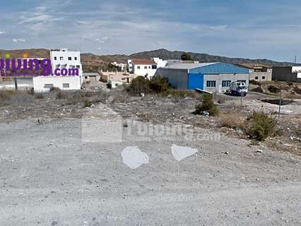 Parcela urbana en alquiler en Albox zona Venta el Cholas