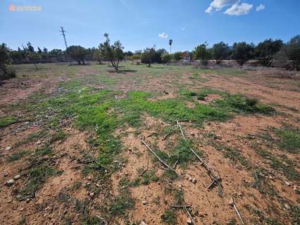 Parcela rústica en venta en Palma de Mallorca