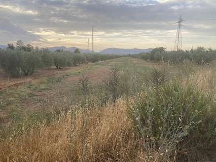 Parcela rústica en venta en Albolote