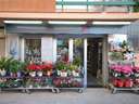 Local comercial en venta en Peníscola/Peñíscola