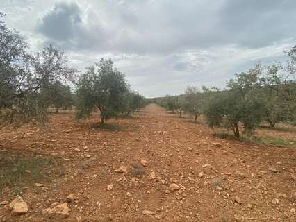 Casa rústica en venta en Padul