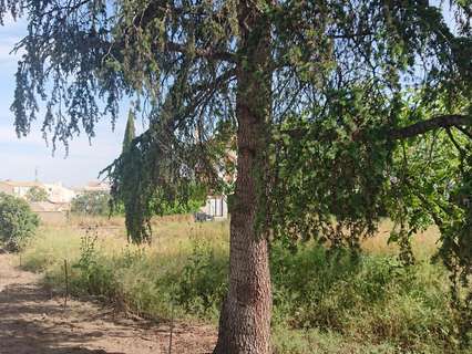 Parcela rústica en venta en Cájar rebajada