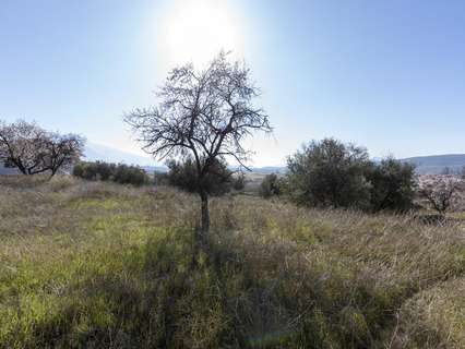 Parcela rústica en venta en Padul