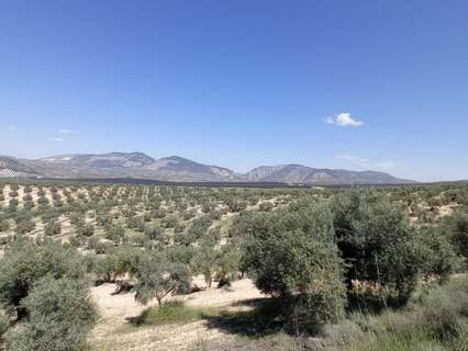 Parcela rústica en venta en Pinos Puente