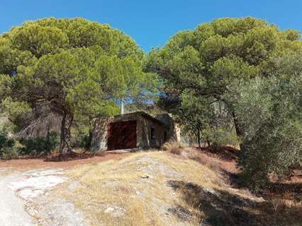 Cortijo en venta en Padul