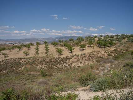 Parcela rústica en venta en Alhendín