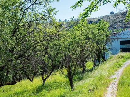 Casa rústica en venta en Pinos Genil