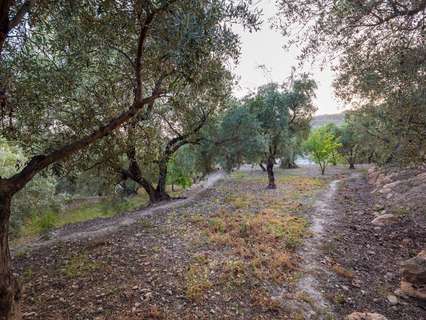 Parcela rústica en venta en Lanjarón