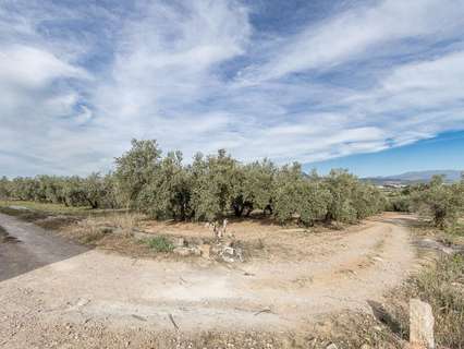 Parcela rústica en venta en Albolote