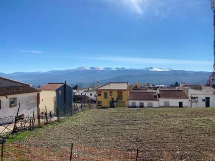 Parcela rústica en venta en Diezma