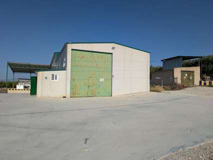 Nave industrial en venta en Calasparra