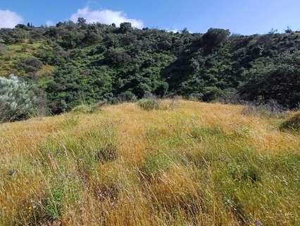 Parcela rústica en venta en Coín