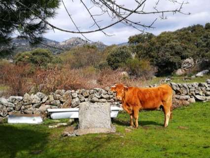 Parcela rústica en venta en Fresnedillas de la Oliva