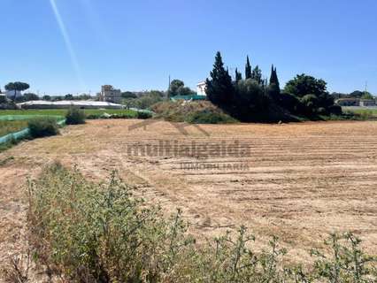 Parcela rústica en venta en Sanlúcar de Barrameda