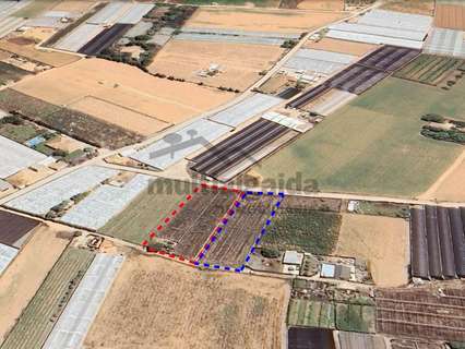 Parcela rústica en venta en Chipiona rebajada