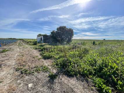 Parcela rústica en venta en Sanlúcar de Barrameda