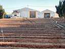 Casa rústica en venta en Chipiona