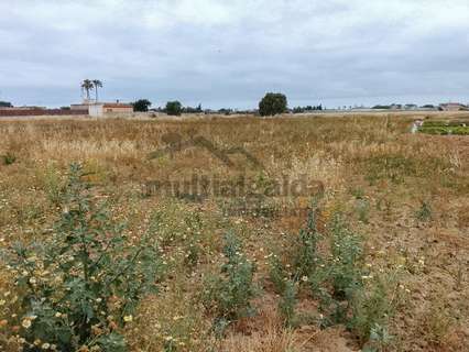 Parcela rústica en venta en Chipiona