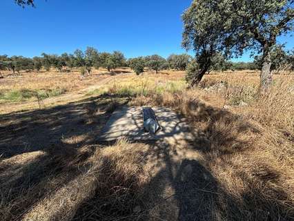 Parcela rústica en venta en Pozoblanco